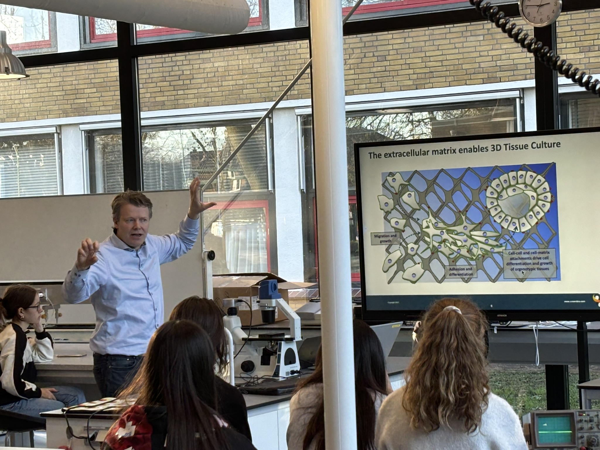 Presentation from Crown Bioscience - International school Rijnlands ...